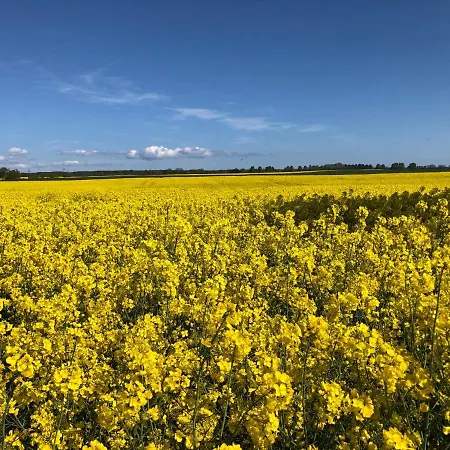 In بيت للعطل *